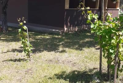 Casă cu 2 camere în Moșteni - 4