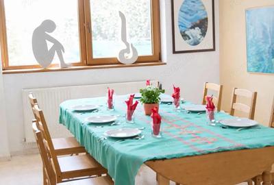 Casă cu 7 camere cu Teren 1300 Mp în Cornetu - 3