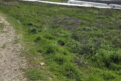 Spațiu comercial, în Dunărea - 8