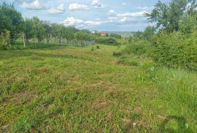 Teren de 1000 mp, în Daia - 1