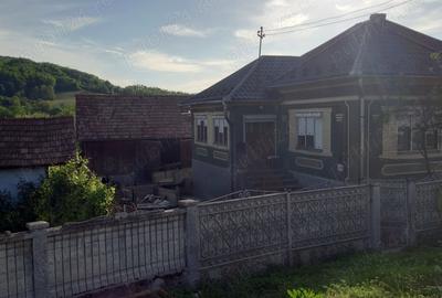 Casă cu 3 camere cu Teren 1000 Mp în Rusu de Sus - 9