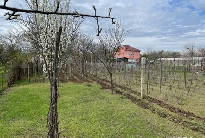 Casa de vanzare | zona centrala - 3