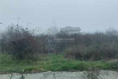 Teren de 1000 mp, în Cornetu