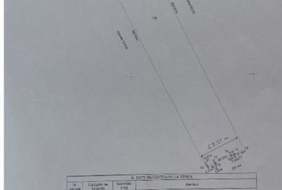 TEREN INTRAVILAN DE VANZARE IN DASCALU-ILFOV.OPORTUNITATE UNICĂ! - 3