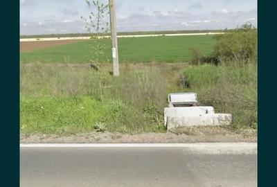 Teren de 10000 mp, în Lipia - 4