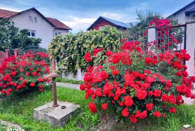 Casă cu 8 camere cu Teren 3000 Mp în Dragomirești - 2