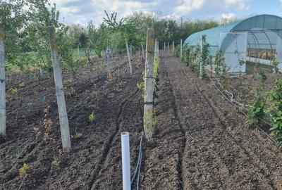 Casă cu 3 camere în Puțuri - 2