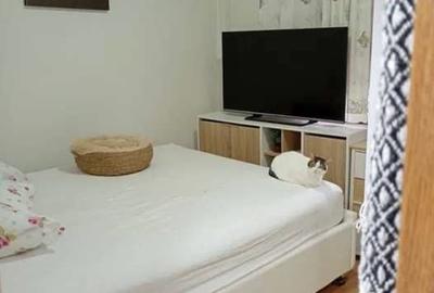 Apartament cu 2 camere semidecomandat în Sălaj - 7