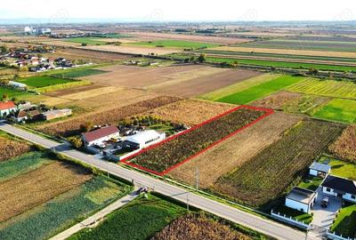 Teren intravilan de vanzare 3000 mp, Botiz, str. Sirul Mare, la doar 7 km de centrul Satu Mare - 3