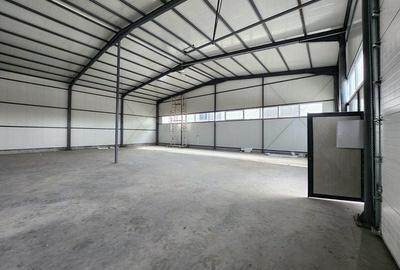 Spațiu industrial, de 500 mp, în Central - 2