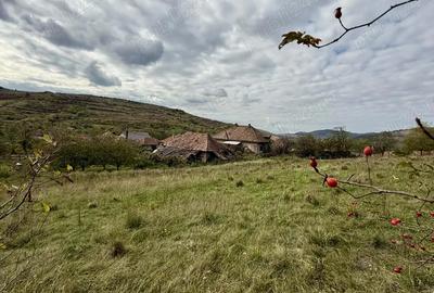 Casa de vanzare in Sanpetru Alma?ului, Hida, jud. Salaj-teren 7500 mp - 6