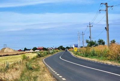 Teren de 450 mp, în Cernica