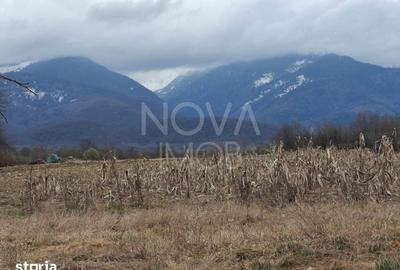 Teren de 2100 mp, în Poplaca - 2