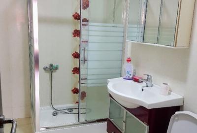 Apartament 3 camere Eminescu-Mosilor (2009, mobilat, utilat, parcare) - 7