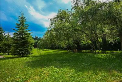 FILM!Refugiu elegant,cadru natural rar, vecinatati discrete,1.700 mp domeniu verde,Timisul de Sus:Po - 5