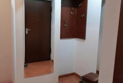 Apartament cu 2 camere decomandat, mobilat în Podul de Fier - 12