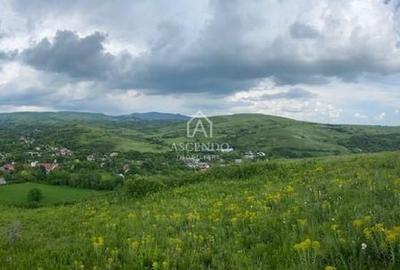 Teren de 15900 mp, în Năeni - 8