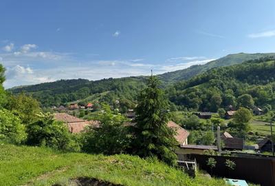 Casa de vanzare, 5 cam., 200 mp. + 5000 mp. teren, Valea Ariesului - 13