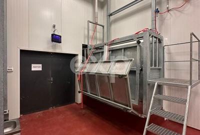 Teren de 105000 mp, în Singureni - 2