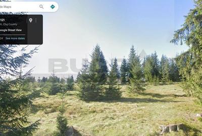 Teren de 1400 mp, în Bălcești (Beliș) - 4