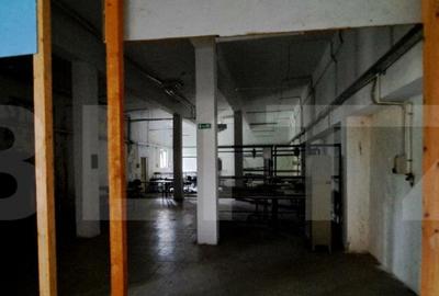 Oportunitate! Teren intravilan 20000 mp si spatiu industrial - 31