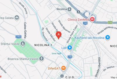 Spațiu comercial, de 190 mp, în Nicolina - 1