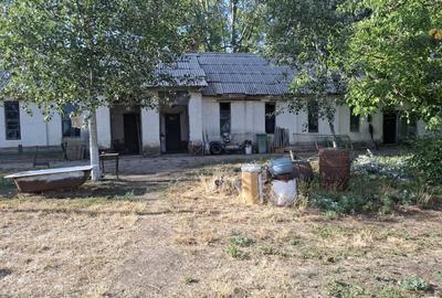 Ferma cu teren agricol de vanzare in Nadlac - 7