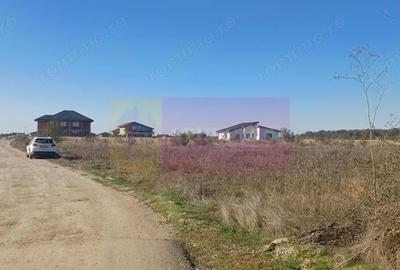 Teren de 6293 mp, în Săbăreni - 3