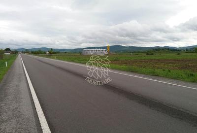Teren agricol extravilan de 19100 mp, în Șintereag - 2