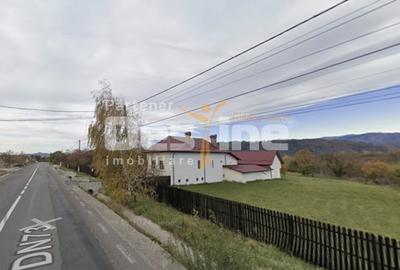 Teren Construcții intravilan de 9915 mp, în Valea Mare - 2