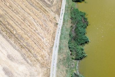 Teren la lac Frumusani
