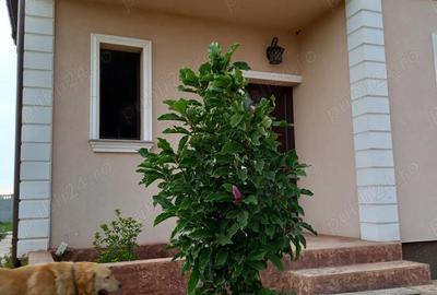 Casă cu Teren 452 Mp în Domnești - 2