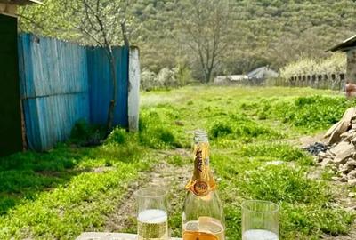 Casă cu 4 camere în Slava Cercheză - 3