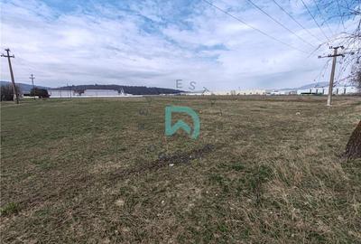 Teren intravilan de 6775 mp, în Bartolomeu - 3