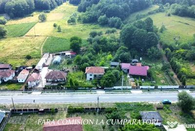 Casă cu 4 camere cu Teren 1730 Mp în Mihăești - 10
