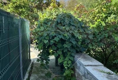 Casa moderna de vanzare - 3 camere - str. George Cosbuc - 4