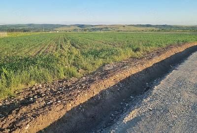 Teren de 5600 mp, în Ciceu-Mihăiești - 1