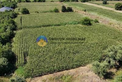 Teren de 3866 mp, în Izvoare (Dumbrava Roșie) - 2