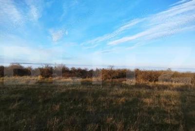 Teren PUZ finalizat, zona Wonderland, pt casa individuala sau duplex - 3