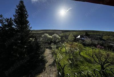 Vila cu livada Paulis, Arad Vila cu livada Paulis, Arad - 3