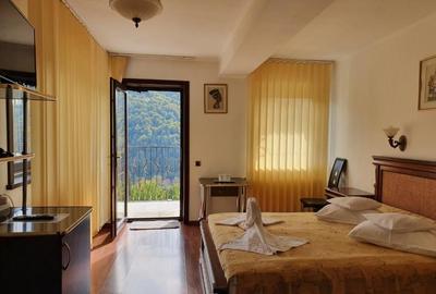 Sinaia-Central,Pensiune de vanzare-21 camere - 3