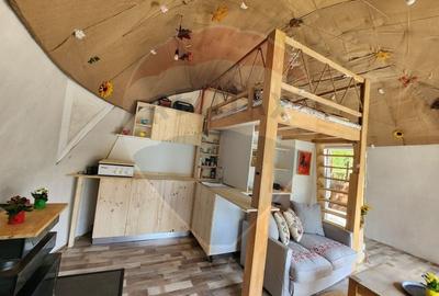 LOCATIE DEOSEBITA - Miron Costin - 7