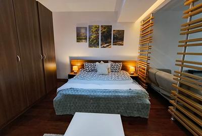 Garsonieră semidecomandată, mobilată în Dristor - 10