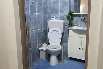 Apartament cu 2 camere semidecomandat, mobilat în Basarabia - 6