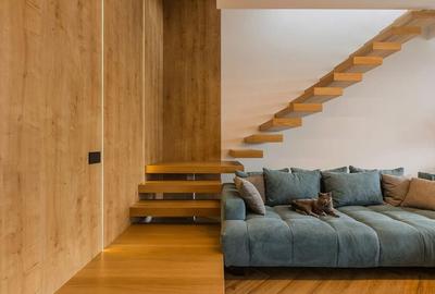 Proiect Modern in Dumbravita - 3