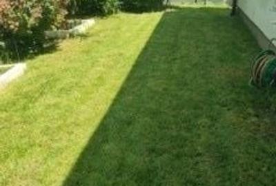 Casă cu 4 camere în Ghiroda - 8