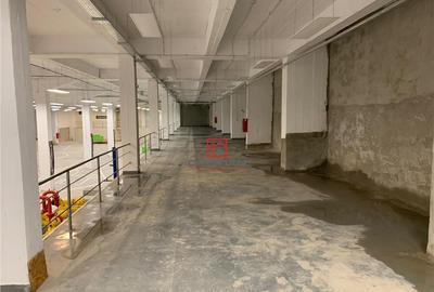 Depozit/hala/spatiu industrial Politehnica - Apaca - 3