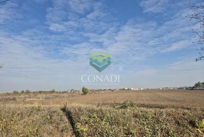 Otopeni  -Teren cu PUZ in curs de aprobare - 13.518 mp - 4