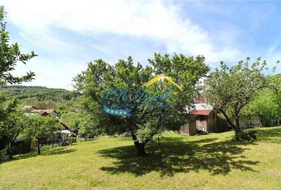 Vila de vanzare, Provita de Sus Prahova - 7