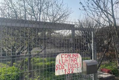 Spațiu comercial, în Lumina - 3